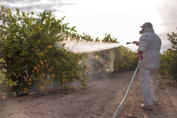 Best Best Pest Control Companies  in New Hampton, IA