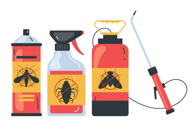 Professional Pest Control in New Hampton, IA